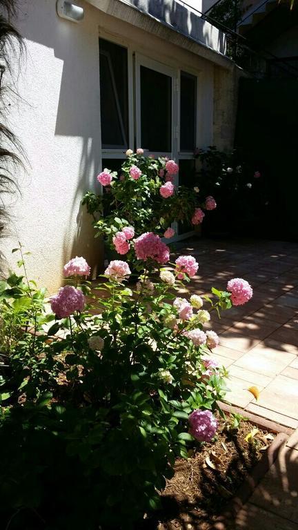 Apartments Palm House โรวีน ภายนอก รูปภาพ